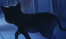 Black Cat