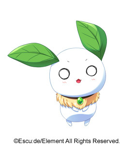 Kupa