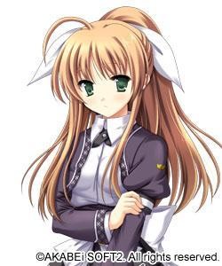 瀬戸内 みかん