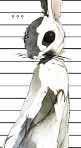 謎の兎