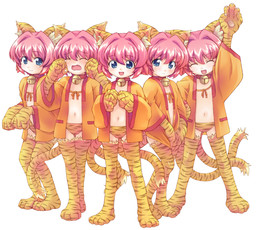ねこまたまた