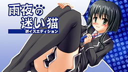 雨夜の迷い猫