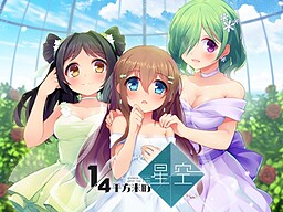 1/4平方米的星空-A Piece of Wish upon the Stars